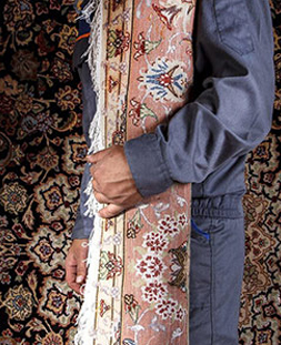 قالی لول در قالیشویی شیراز